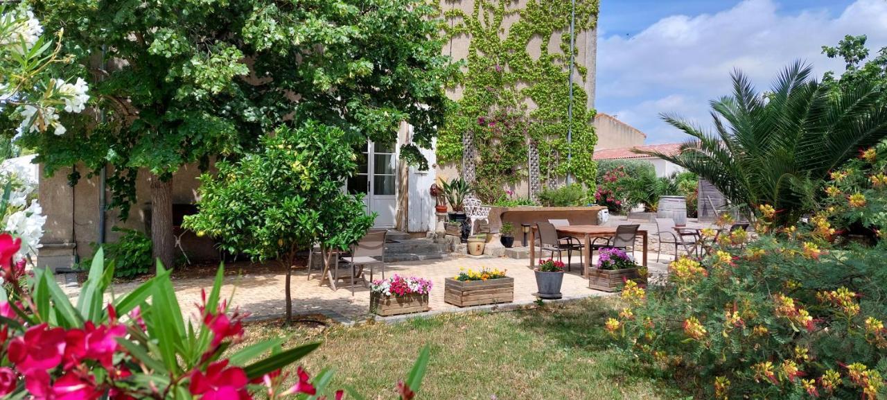 Maison Matisse Saint-Nazaire-d'Aude Εξωτερικό φωτογραφία